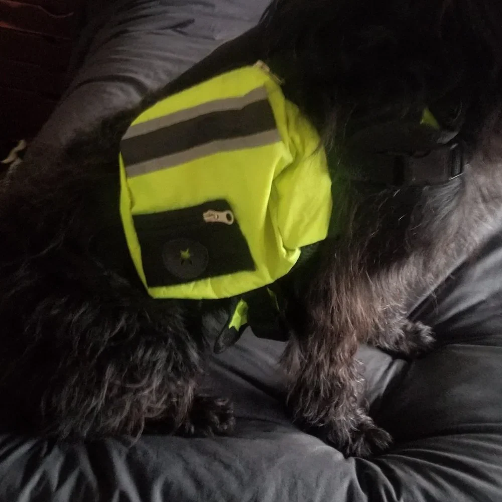 FML Brand Dog Back Pack Hiking Travel Food Water Doggie Bags Carrier - Size S/M
